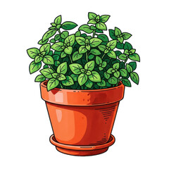 Obraz premium Herb Plant in Terracotta Pot