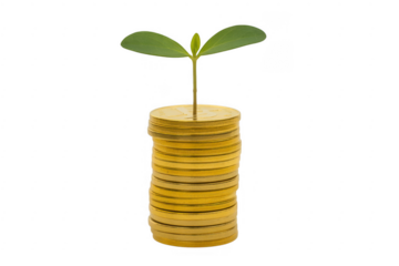 Plant growing from gold coins growth finance business isolated on a transparent background