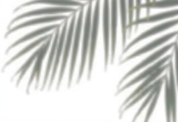 Elegant Palm Leaves Silhouetted Against a Soft Background