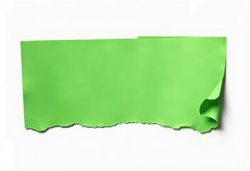 Torn Green Paper with a Curled Edge on a White Background