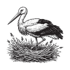 Fototapeta premium Hand drawn of stork on nest in monochrome drawing. black on white line art.