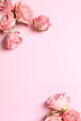 Beautiful composition with pink roses on color background. Ideal for Valentine's Day, 8 March, Birthday or other holidays