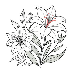 agrostemma ocean pearl amaryllis fairytale line art