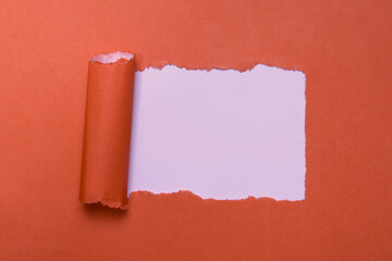 Torn hole in red paper with white background inside and scroll, ripped paper frame with copy space...