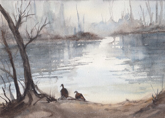 wild ducks on the lake shore