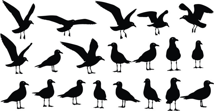 鳥シルエット」の写真素材 | 2,324,877件の無料イラスト画像 鳥シルエット」の写真素材 | 2,324,877件の無料イラスト画像