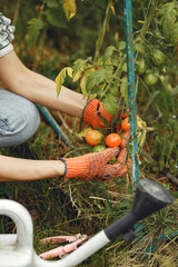 Women pours flowers in the garden with watering can
