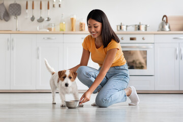 Beautiful young asian woman in casual outfit feeding her cute pet, giving bowl with healthy nutritive pet food, kitchen interior, full size photo, side view, panorama with copy space © Prostock-studio