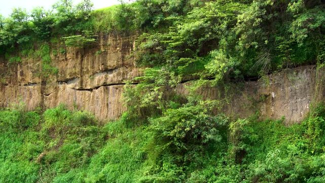 Panning shot of a tall brown rocky cliff face covered in lush green vegetation at Ranu Manduro, Mojokerto. Scenic tropical geological escarpment in Southeast Asia nature landscape.