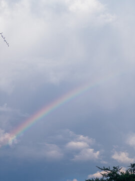 arco iris