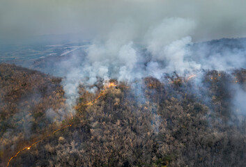 Wildfires release carbon dioxide (CO2) emissions and other greenhouse gases (GHG) that contribute to climate change.
