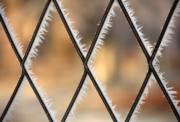 Szron na metalowej kracie. Zima. Mr&oacute;z. Detal.
