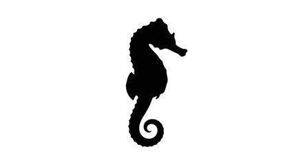 Black silhouette of a seahorse swimming. © MUHRODIN