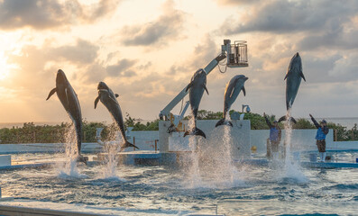 excavator on the beach