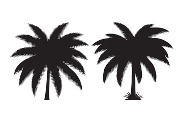 Fototapeta premium Tropical Palm Tree Silhouettes for Summer Travel and Vacation