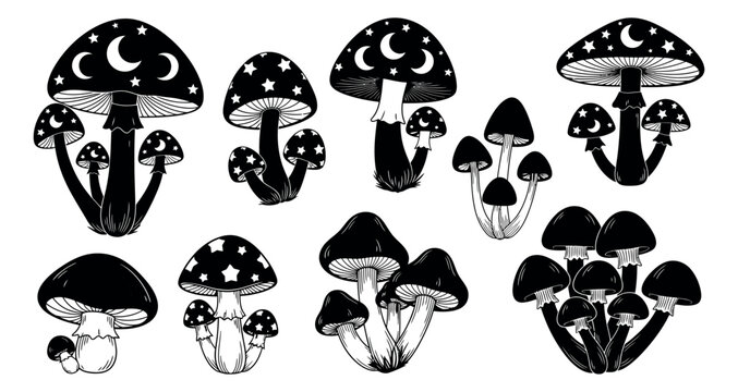 Hand drawn magic mushroom set featuring mystical fungi with stars and moons for witchy designs