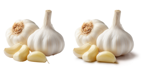 Cabeças e dentes de alho em fundo transparente com e sem sombra projetada