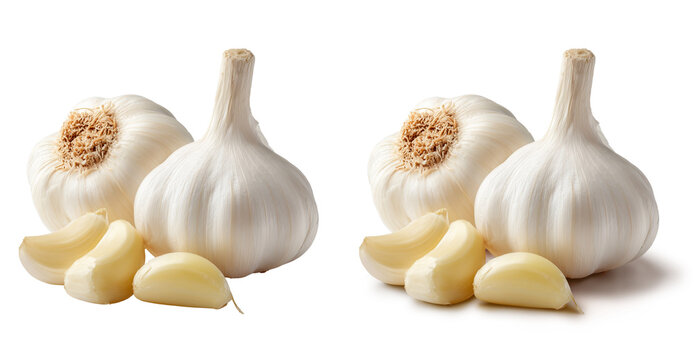 Cabe&ccedil;as e dentes de alho em fundo transparente com e sem sombra projetada