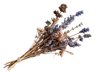 Obraz premium A dried bunch of flowers displays an assortment of textures and colors, laid down against a white backdrop. This collection highlights the beauty of natural elements
