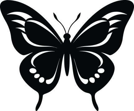 Elegant black butterfly silhouette with decorative white patterns on its symmetrical wings