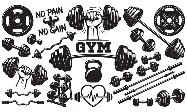 Gym fitness vector set with dumbbells, barbells, weight plates, kettlebell and &ldquo;No Pain No Gain&rdquo; typography