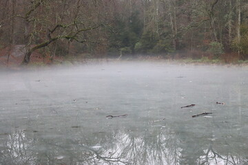 View across a frozen pond in winter