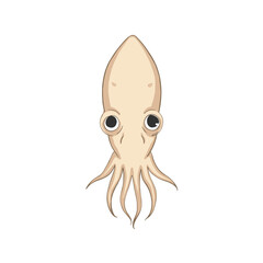Cartoon squid illustration with large eyes on white background  