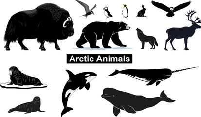 Arctic Animals Collection Vector Silhouettes of Wildlife Fauna in Polar Regions © Hens Craft