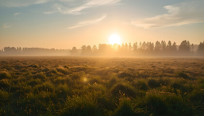 Fototapeta premium Golden Sunrise Over Forest Edge.