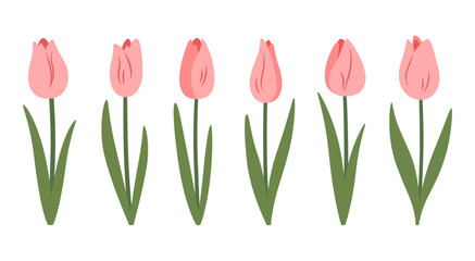 Pink tulips set. Spring floral collection with beautiful flowers for Mother&rsquo;s Day, Woman&rsquo;s Day or National Tulip Day decoration. Vector illustration on white background.