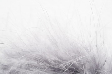 Obraz premium fur background