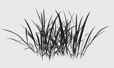 Black grass silhouettes border, meadow grass panorama isolated on white background
