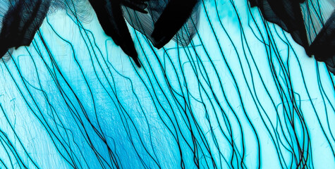  Unveiling the Intricate Allure of Liquid Art in Oil Paintings