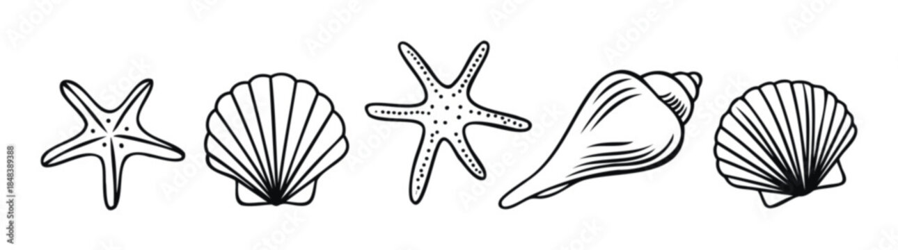 Collection of marine life outlines including starfish and seashells for summer vacation and oceanthemed projects
