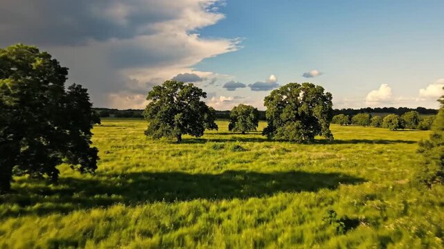 Elevated perspective of a serene green meadow with scattered deciduous trees under a vibrant sky