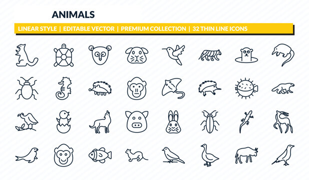 animals icons set - sable, tortoise, philippine tarsier, wildebeest, raven outline vector collection.