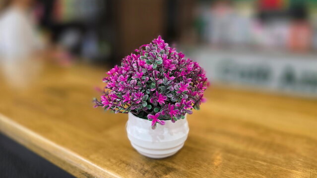 An artificial plant with green and pink leaves in white pot could be Aerva sanguinolenta(Dusty Miller), Aerva sanguinolenta (L) Blume or Callisia repens. Artificial tree with pink leaves in small pot.