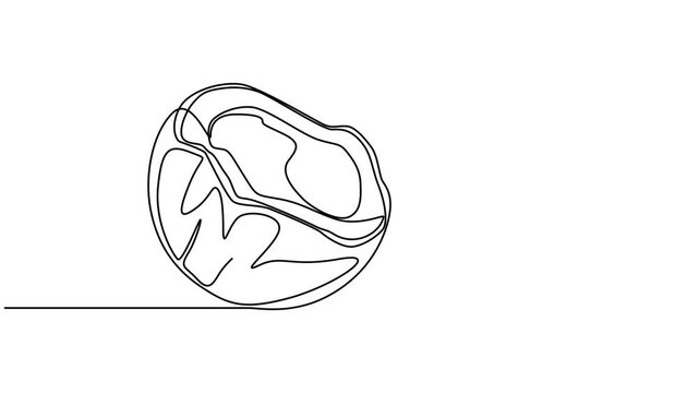 Continuous one line drawing of a coconut drink with straw, single line vector art 4k animation video, Coconut simple vector line illustration. Single line art drawing, Coconut continuous one line draw