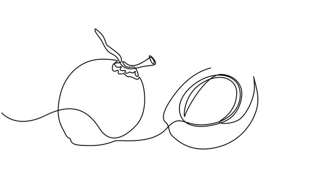 Continuous one line drawing of a coconut drink with straw, single line vector art 4k animation video, Coconut simple vector line illustration. Single line art drawing, Coconut continuous one line draw