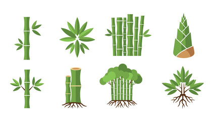 Diverse bamboo plant designs: icon set featuring stalks, leaves, and shoots