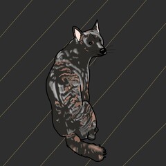 한국 토종 진돗개 호구 