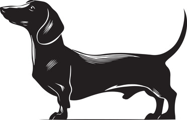 Dachshund Dog Silhouette Black Vector Illustration