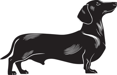 Dachshund Dog Silhouette Black Vector Illustration