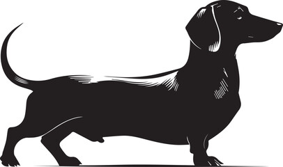 Dachshund Dog Silhouette Black Vector Illustration