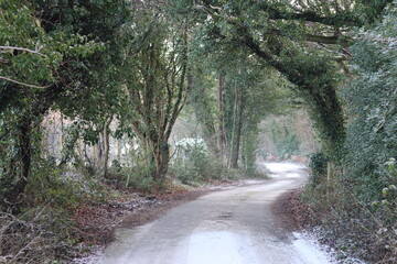 View along a countryside lane in winter