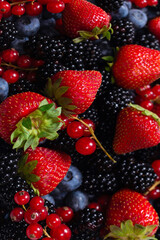 Blackberry, raspberry, blueberry,  red currant and mint background.