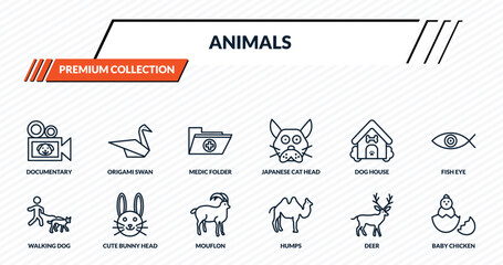 Fototapeta premium animals icons set - documentary, origami swan, medic folder, cute bunny head, baby chicken outline vector collection.