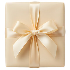 Gift Wrapped Box with Ribbon and Bow