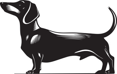 Dachshund Dog Silhouette Black Vector Illustration