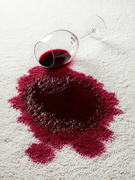 Spilled red wine stain on white carpet with toppled glass, domestic accident